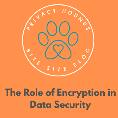 The Role of Encryption in Data Security